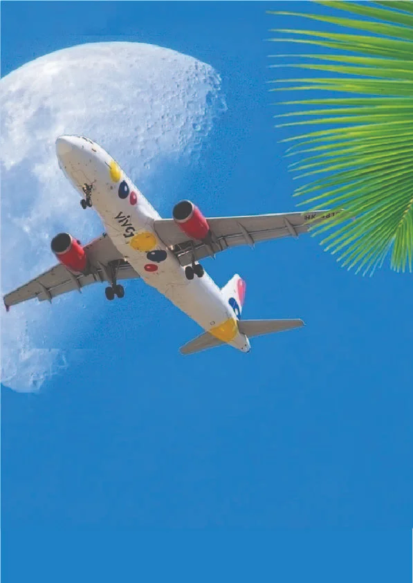 Tour and Travel
